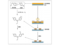 负性光敏型BCB光刻胶